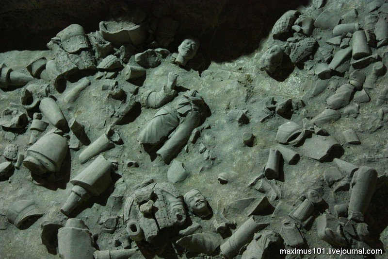 maximus101-terracota-12 maximus101-terracota-12