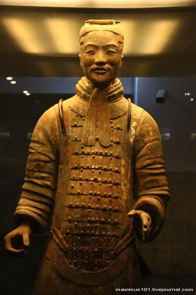 maximus101-terracota-16 maximus101-terracota-16