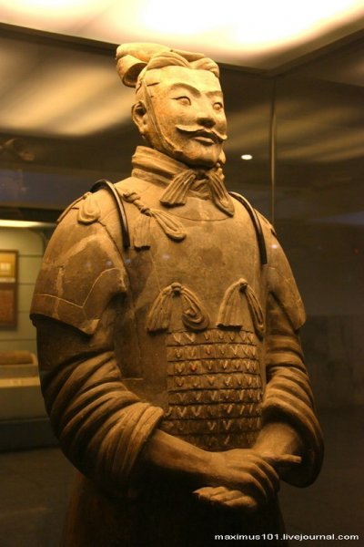 maximus101-terracota-18